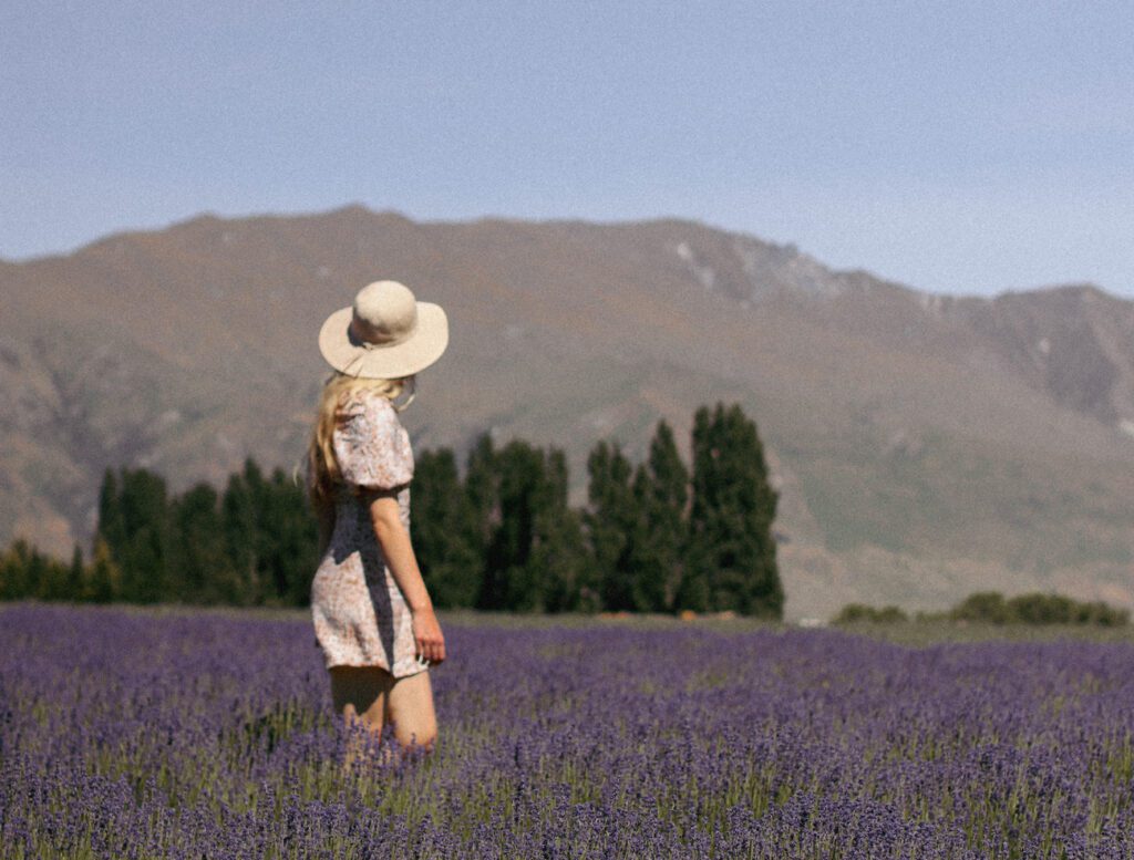 traveling new zealand